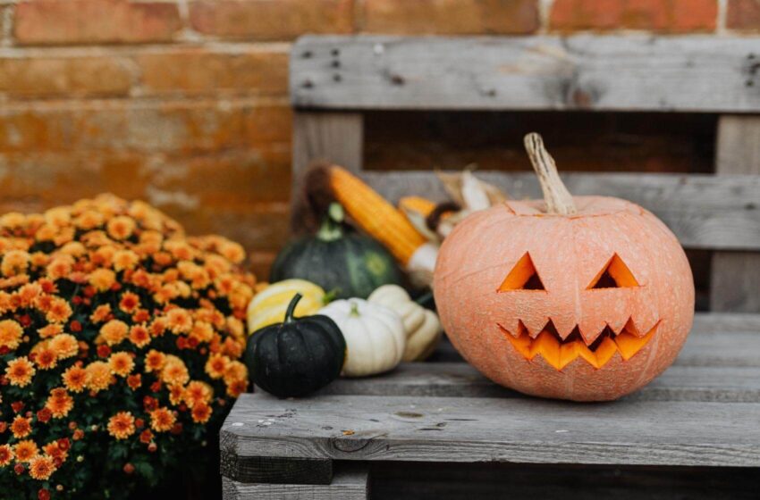  Samhain: Víte, jak vzniknul Halloween?