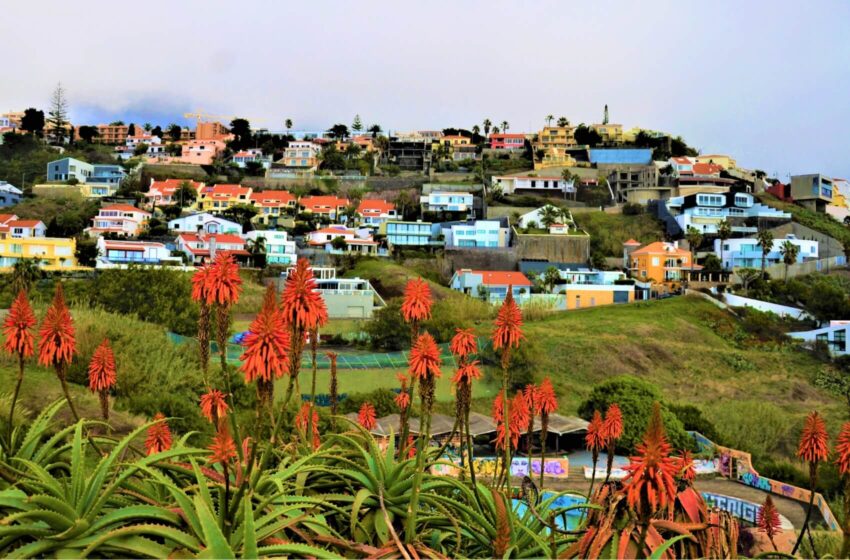  7 důvodů, proč navštívit ostrov Madeira