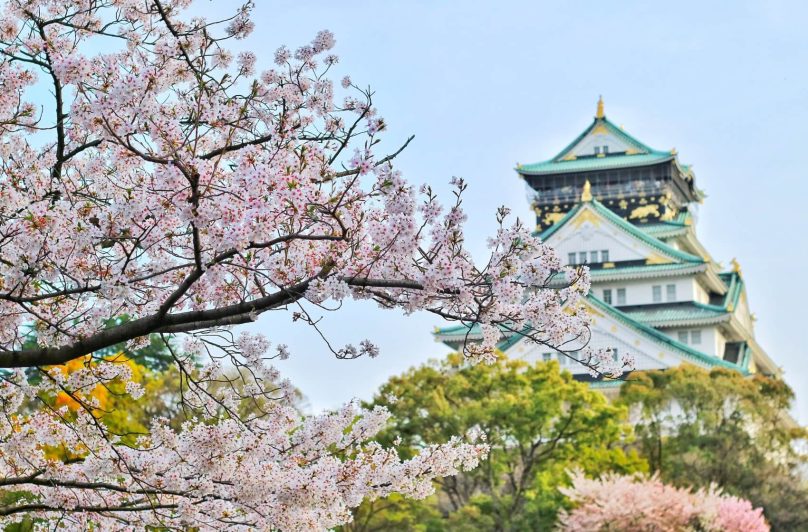 Oslava kvetoucích třešní: Proč se vydat na jaře do Japonska?