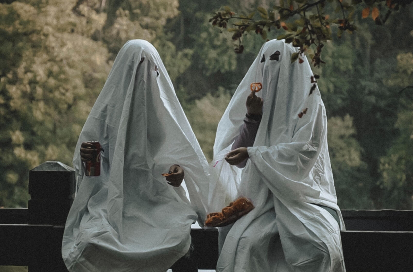 Bojíte se rádi? 4+1 filmů, na které se podívat o Halloweenu