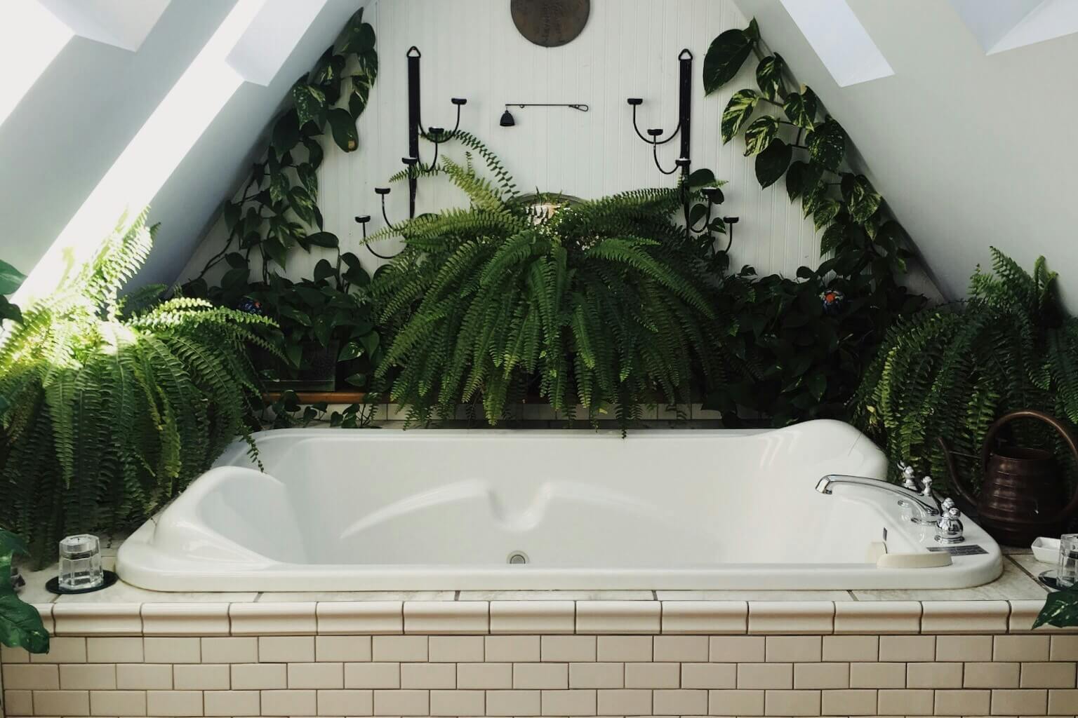 Vana obklopená rostlinami