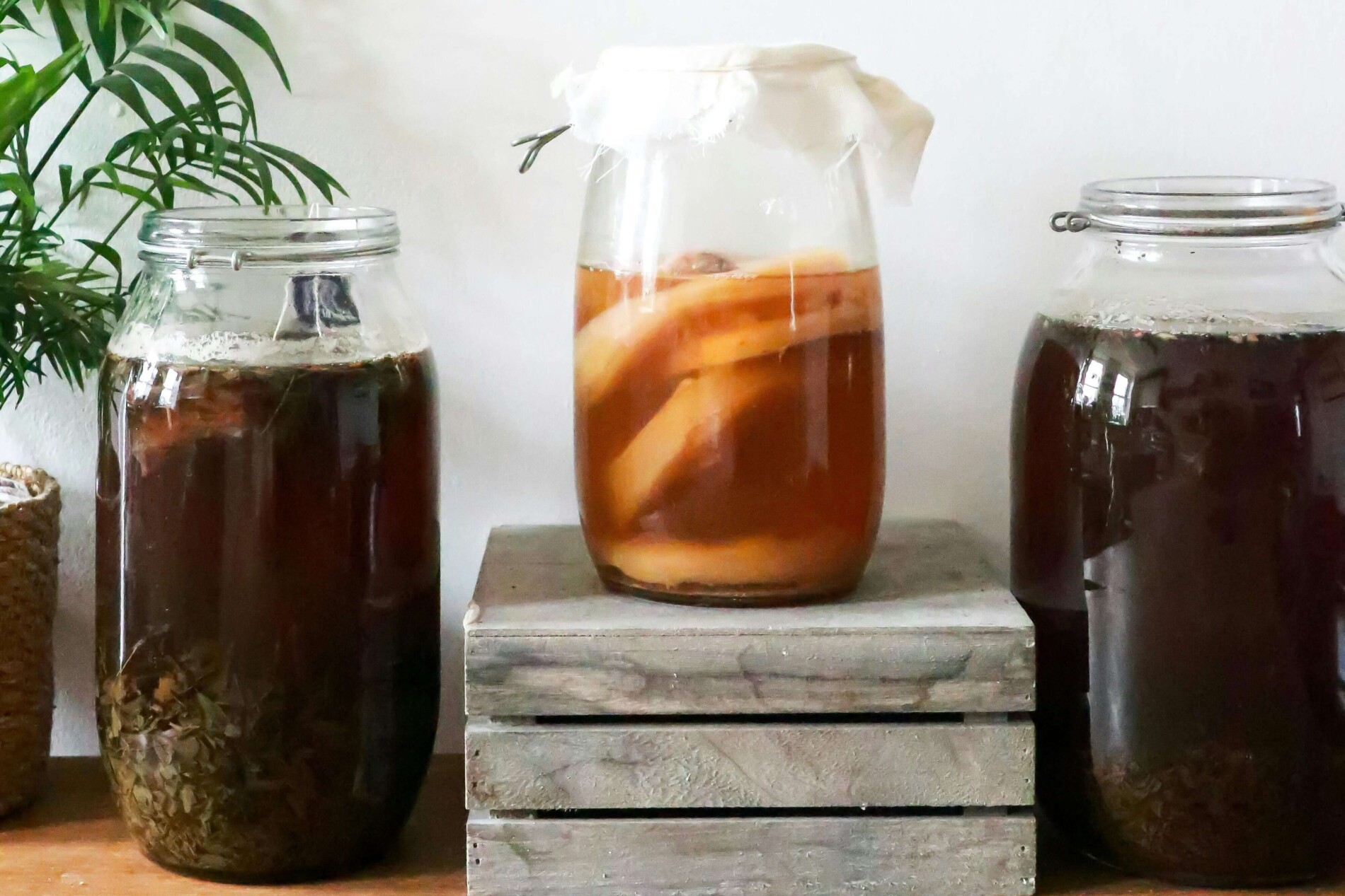 Kombucha