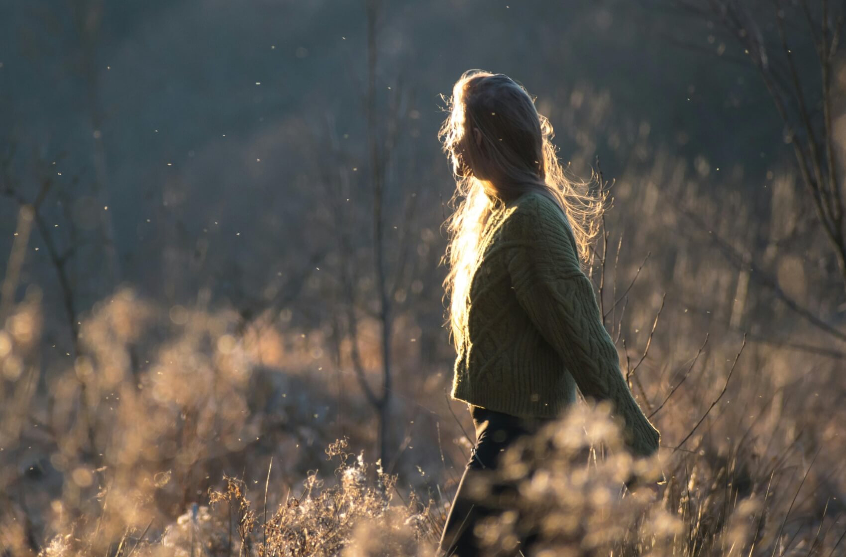 Cestování v Česku podle barev: Vydejte se na výlet po stopách zlaté