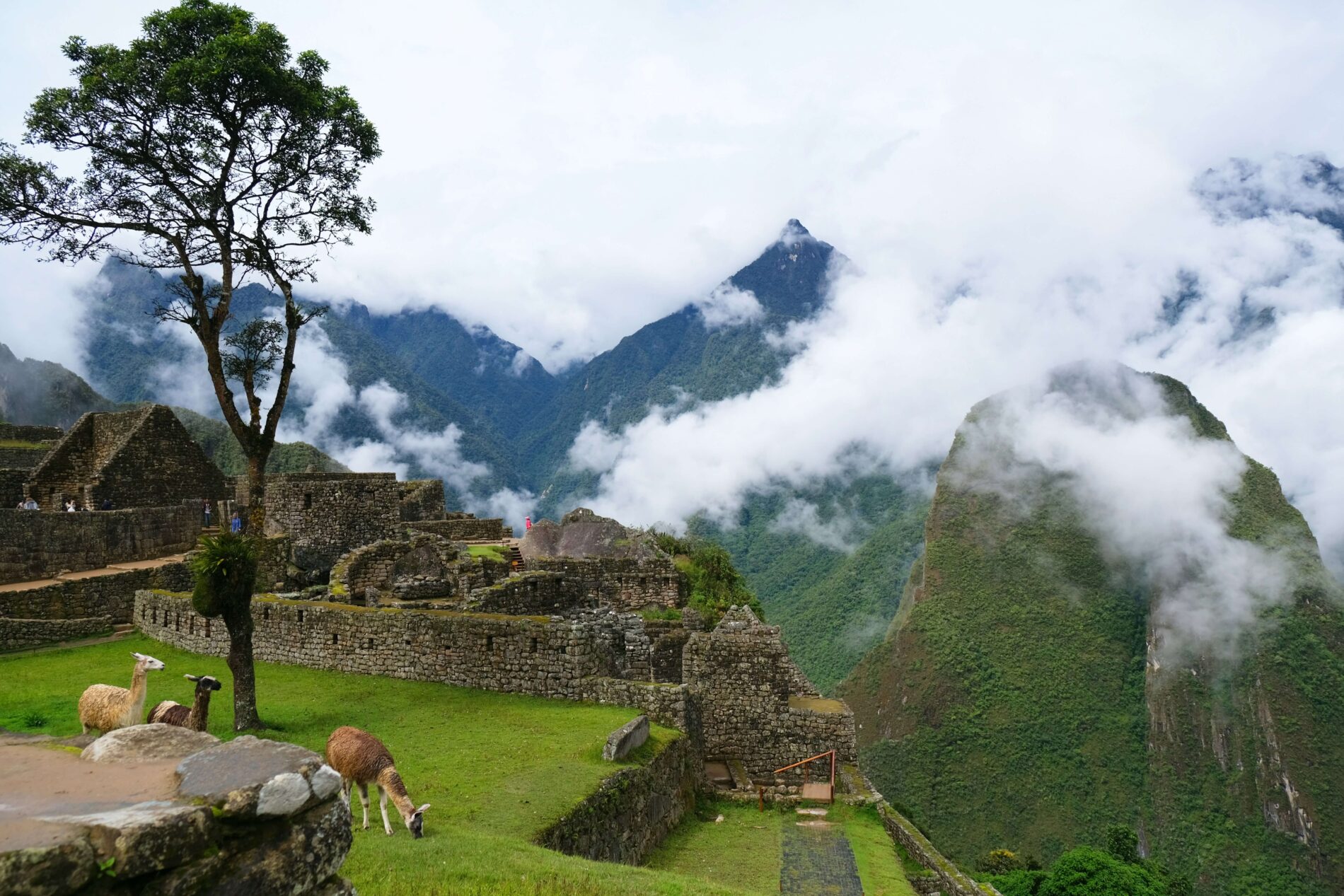 Peru