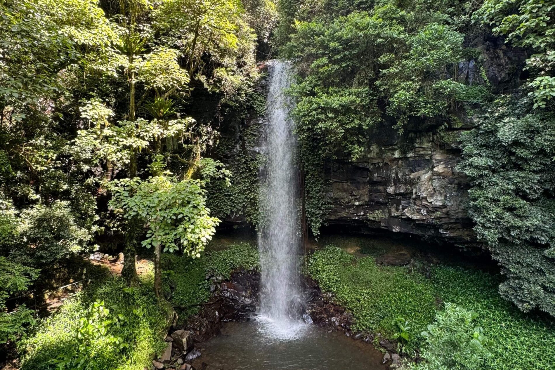 Crystal Shower Falls