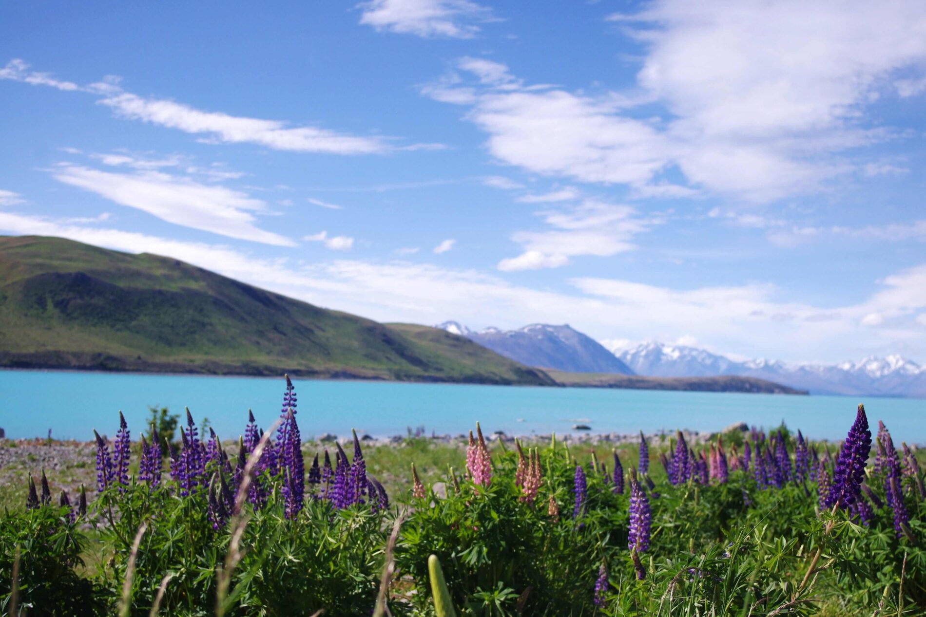Tekapo